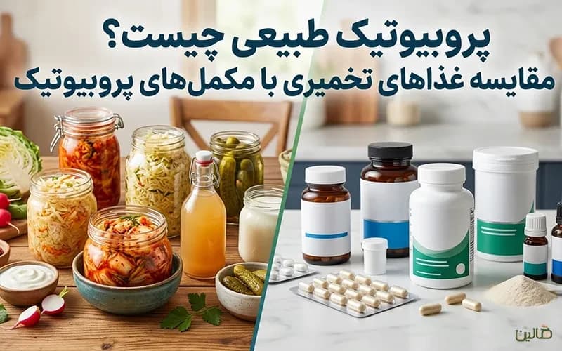 پروبیوتیک طبیعی چیست؟ مقایسه غذاهای تخمیری با مکملهای پروبیوتیک