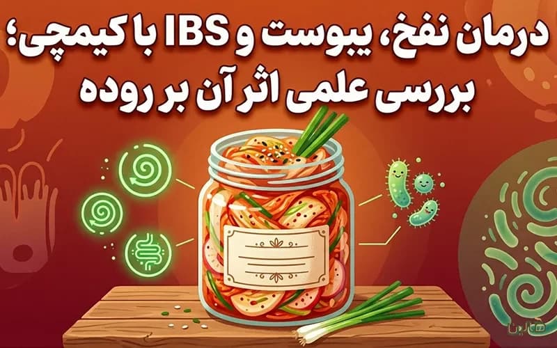 درمان نفخ، یبوست و IBS با کیمچی؛ بررسی علمی اثر آن بر روده