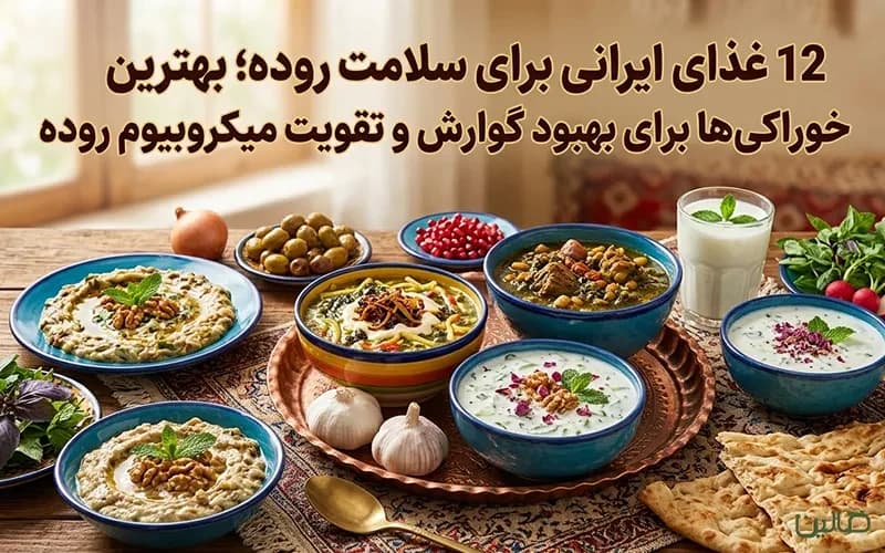 12 غذای ایرانی برای سلامت روده؛ بهترین خوراکیها برای بهبود گوارش و تقویت میکروبیوم روده