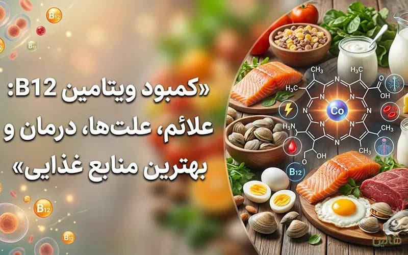 کمبود ویتامین B12: علائم، علتها، آزمایش، درمان و بهترین منابع غذایی