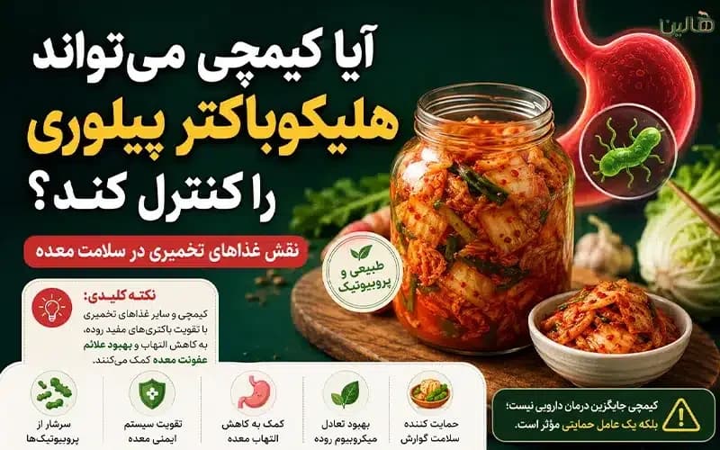 آیا کیمچی میتواند هلیکوباکتر پیلوری را کنترل کند؟ نقش غذاهای تخمیری در سلامت معده
