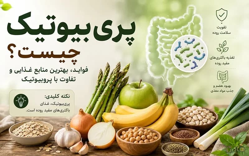 پریبیوتیک چیست؟ فواید، بهترین منابع غذایی و تفاوت با پروبیوتیک