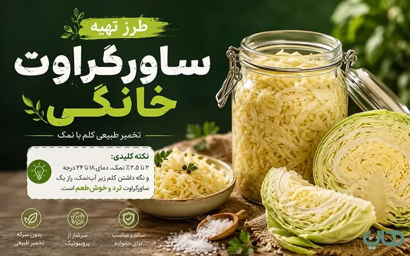 طرز تهیه ساورکراوت خانگی؛ آموزش مرحلهبهمرحله تخمیر کلم با نمک