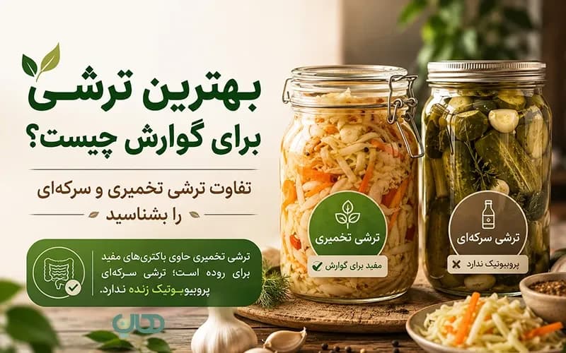 بهترین ترشی برای گوارش چیست؟ تفاوت ترشی تخمیری و سرکهای را بشناسید