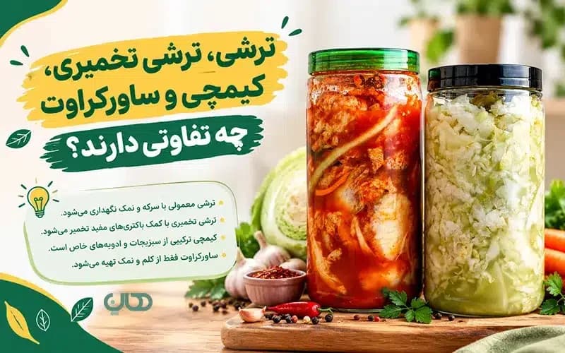 ترشی، ترشی تخمیری، کیمچی و ساورکراوت چه تفاوتی دارند؟