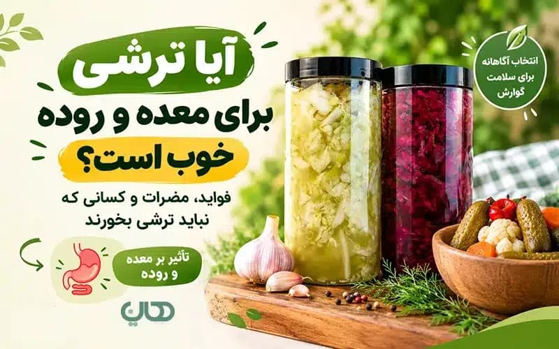 آیا ترشی برای معده و روده خوب است؟ فواید، مضرات و کسانی که نباید ترشی بخورند