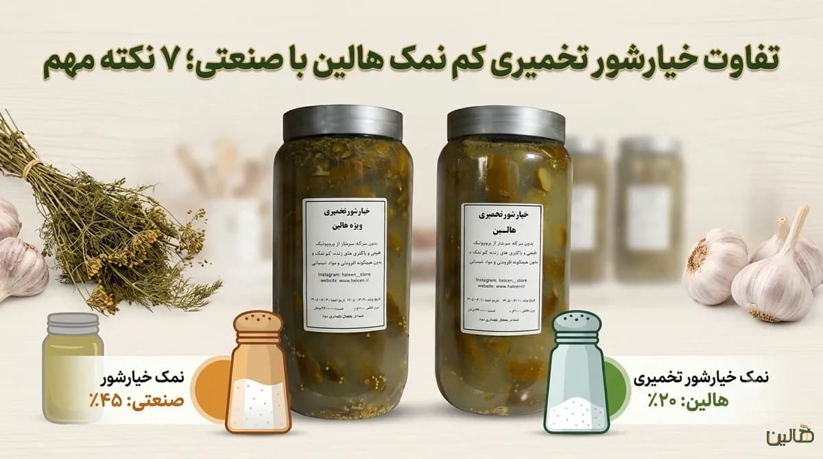 تفاوت خیارشور تخمیری کم نمک هالین با صنعتی؛ ۷ نکته مهم
