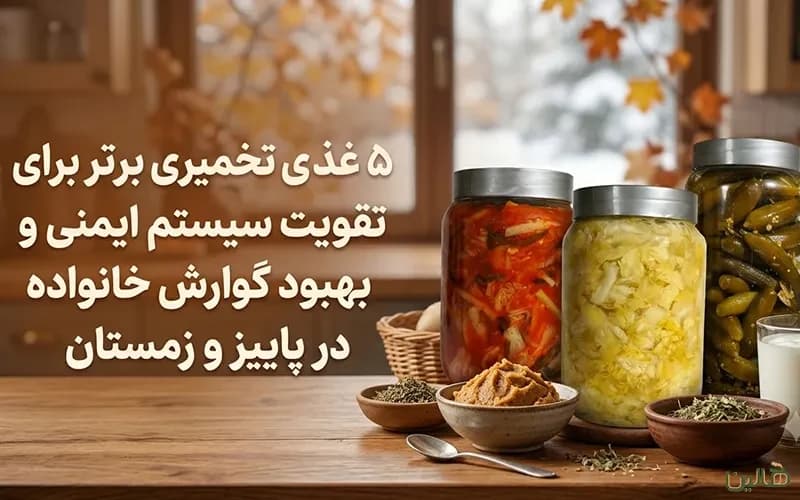 ۵ غذای تخمیری برتر برای تقویت سیستم ایمنی و بهبود گوارش در پاییز و زمستان