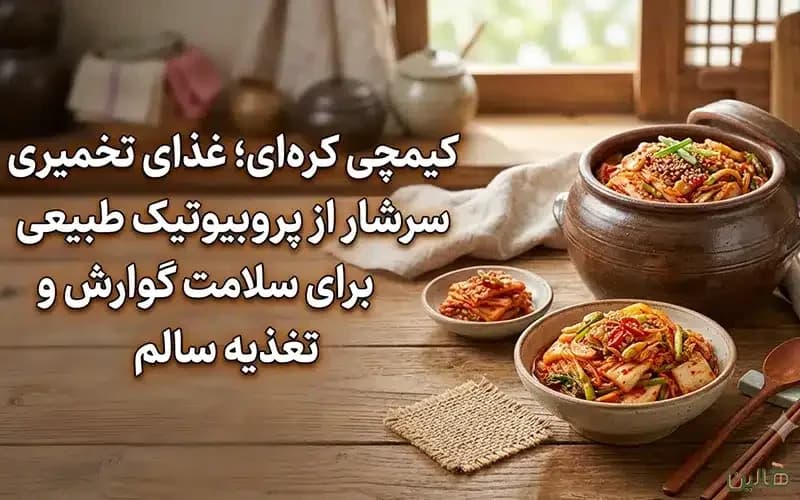 کیمچی کرهای؛ غذای تخمیری سرشار از پروبیوتیک طبیعی برای سلامت گوارش و تغذیه سالم