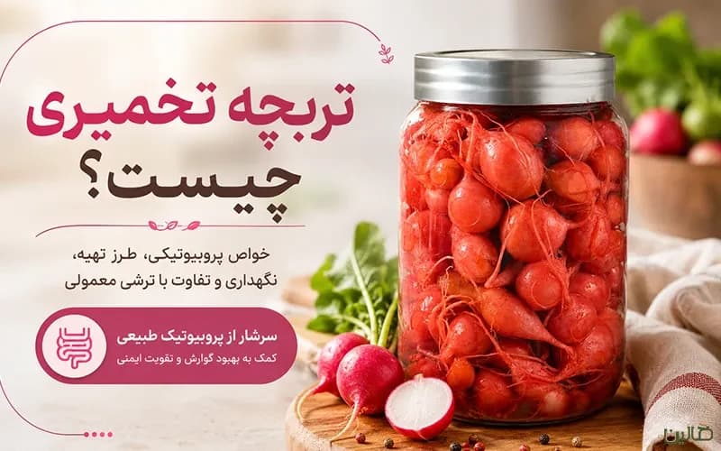 تربچه تخمیری چیست؟ خواص پروبیوتیکی، طرز تهیه، نگهداری و تفاوت با ترشی معمولی