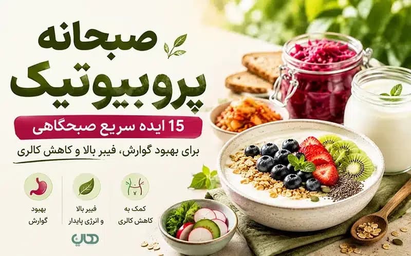 صبحانه پروبیوتیک؛ ۱۵ ایده سریع صبحگاهی برای بهبود گوارش، فیبر بالا و کاهش کالری