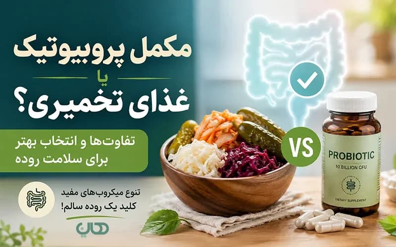 مکمل پروبیوتیک یا غذای تخمیری؟ تفاوتها و انتخاب بهتر برای سلامت روده