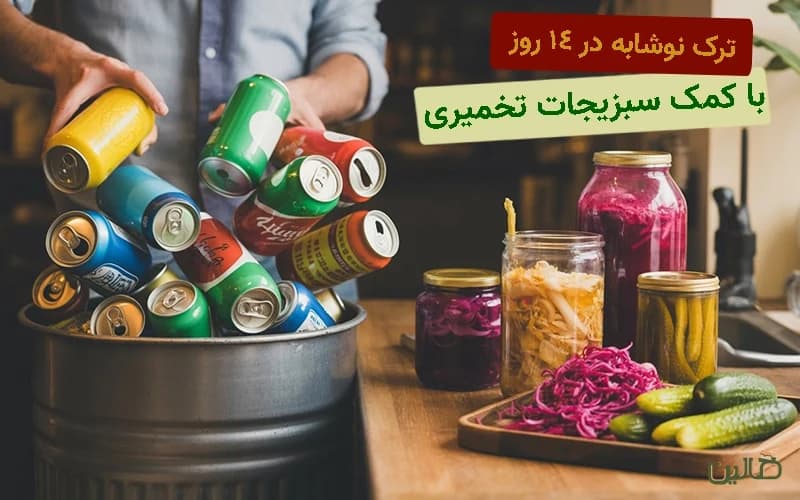 ترک نوشابه در ۱۴ روز با کمک سبزیجات تخمیری