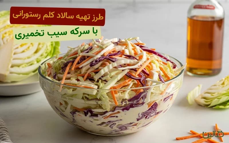 طرز تهیه سالاد کلم رستورانی با سرکه سیب تخمیری