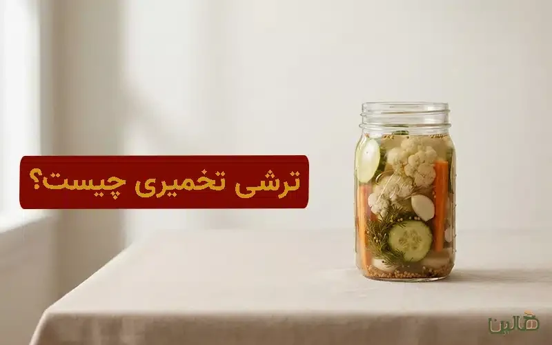 ترشی تخمیری چیست؟