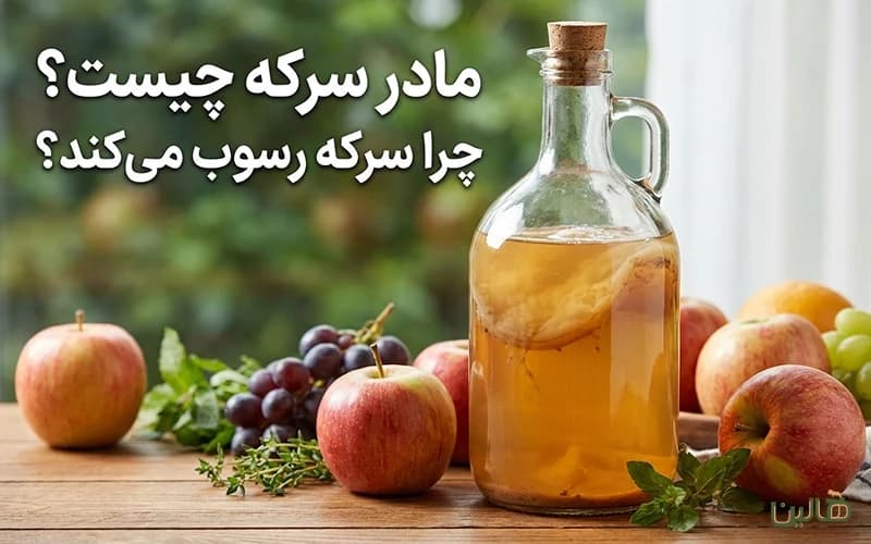 مادر سرکه چیست؟ چرا سرکه رسوب میکند؟