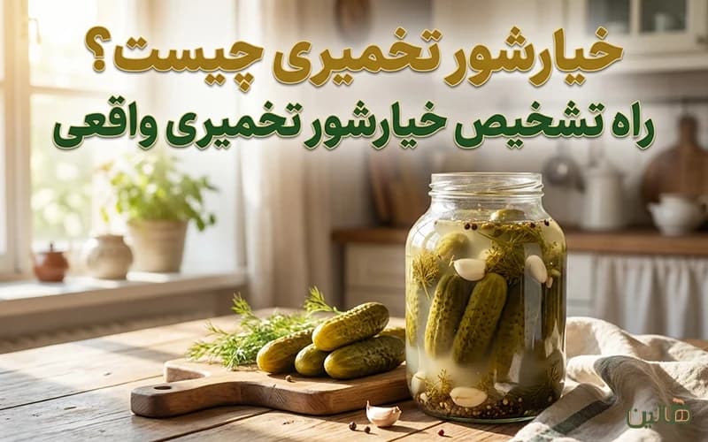 خیارشور تخمیری چیست؟ راه تشخیص خیارشور تخمیری واقعی (بدون سرکه صنعتی)
