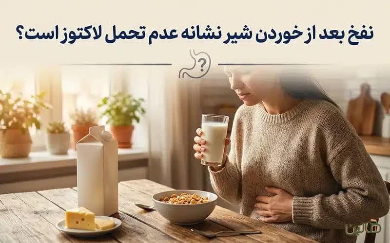 نفخ بعد از خوردن شیر نشانه عدم تحمل لاکتوز است؟ (علائم، تشخیص ساده و بهترین جایگزینها)