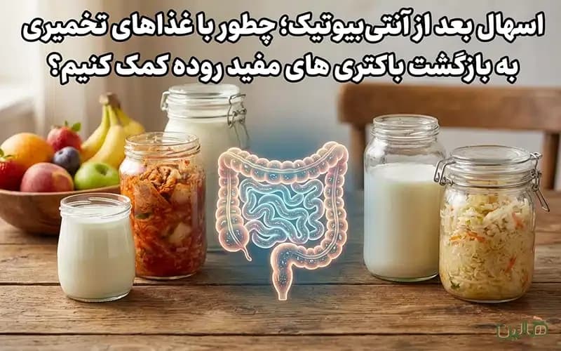 اسهال بعد از آنتیبیوتیک؛ چطور با غذاهای تخمیری به بازگشت باکتریهای مفید روده کمک کنیم؟
