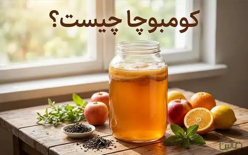 کومبوچا چیست ؟ طرز تهیه خانگی + فواید گوارشی و نکات مصرف روزانه