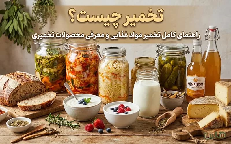 تخمیر چیست؟ راهنمای کامل تخمیر مواد غذایی و معرفی محصولات تخمیری