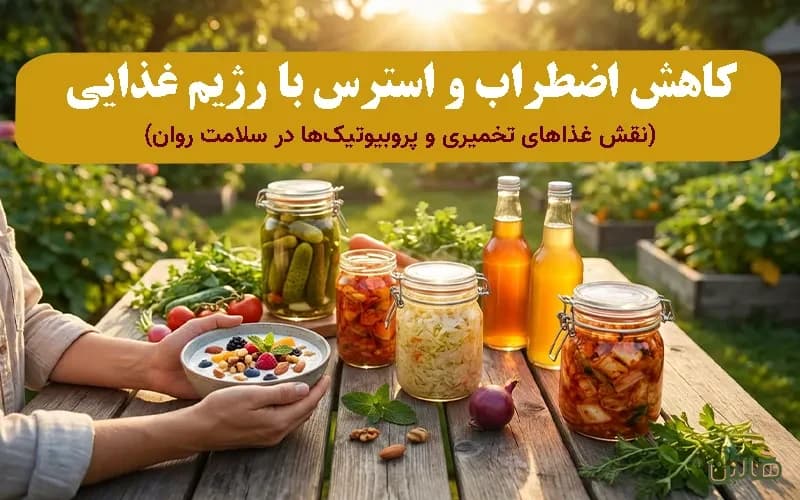 کاهش اضطراب و استرس با رژیم غذایی: نقش غذاهای تخمیری و پروبیوتیکها در سلامت روان