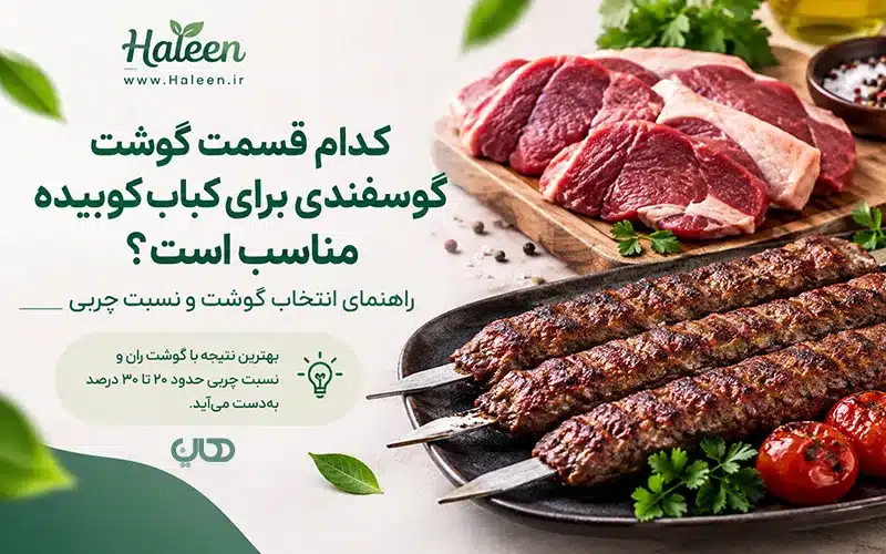 کدام قسمت گوشت گوسفندی برای کباب کوبیده مناسب است؟ راهنمای انتخاب گوشت و نسبت چربی